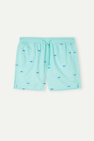 Intimissimi Embroidered Shark Úszónadrág Férfi Világos Türkiz Zöld Sötétszürke | HUWY3320