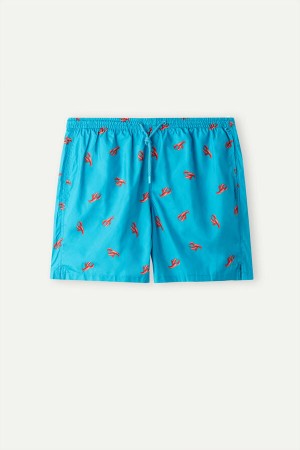 Intimissimi Lobster Print Úszónadrág Férfi Pávakék | HUXF3301
