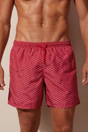 Intimissimi Micro Shark Print Úszónadrág Férfi Piros Sötétszürke | HUMA3322